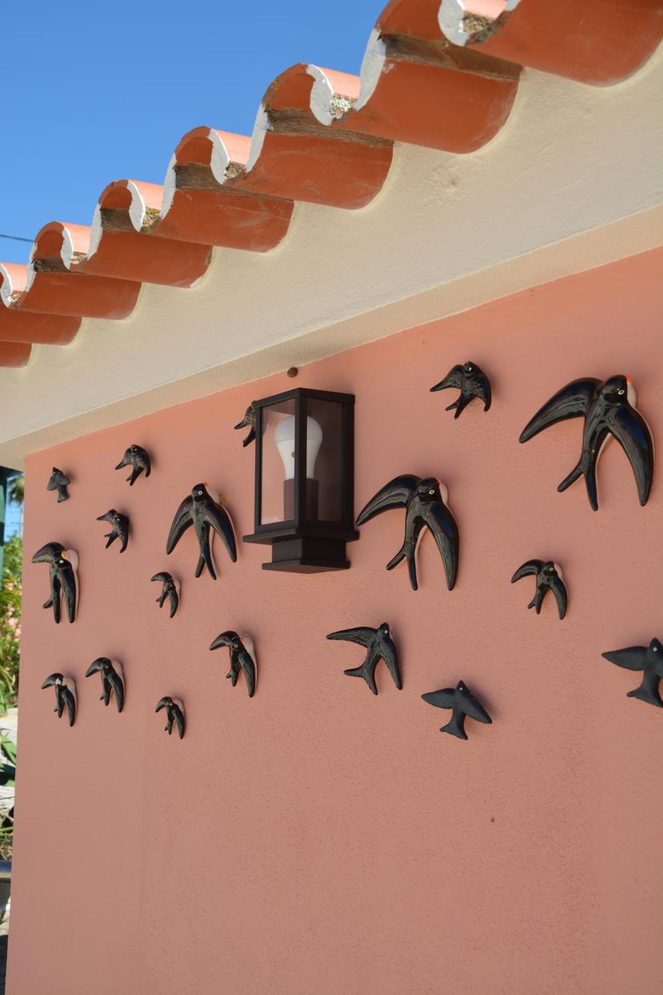 Solar Dos Avos Farm stay Guia (Faro)